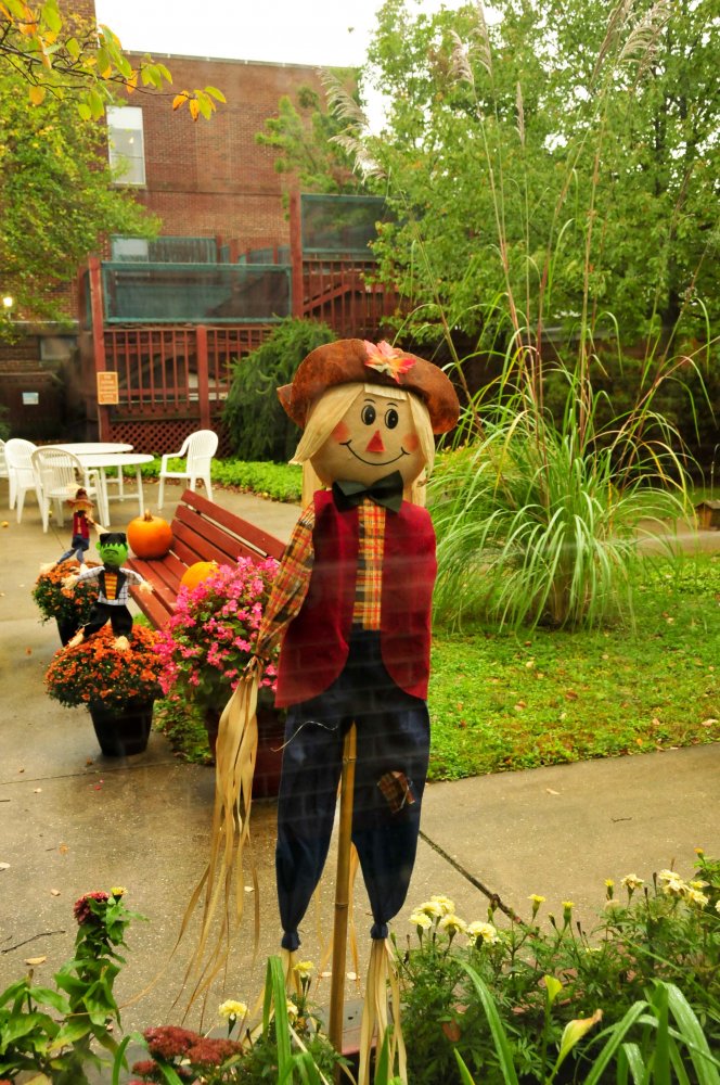 Brrr...Welcome Fall!