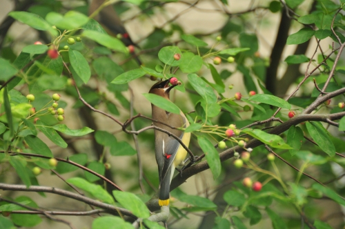 It's Been A Busy Day!