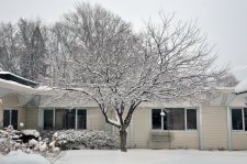 It's finally a beautiful winter day!