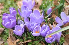 Our March Newsletter 