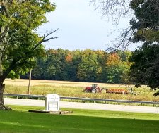 The fall weather this week has been so beautiful!