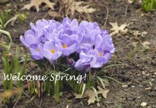 Spring is Really Here!