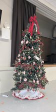 Our own Festival of Trees!