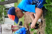 Cub Scouts Garden