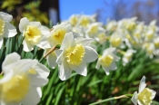 Spring has sprung!